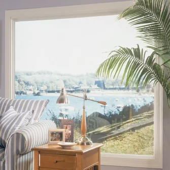 Picture Windows