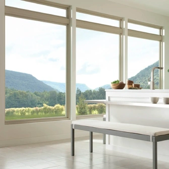 Picture Windows