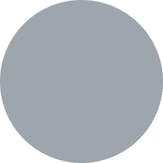 Shark Skin-color